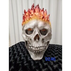 Flaming Skull Halloween Mask for Kids